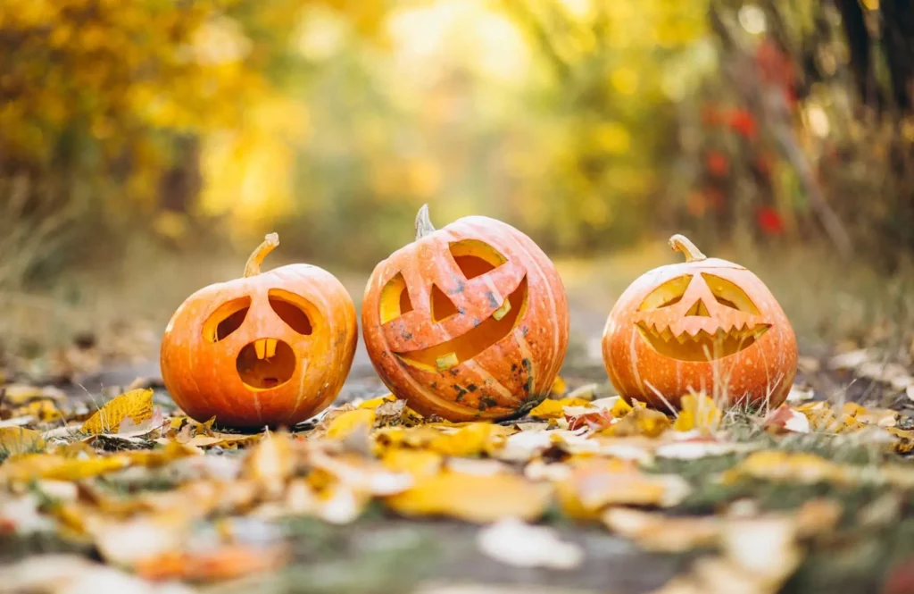 3 citrouilles d'Halloween dans la nature