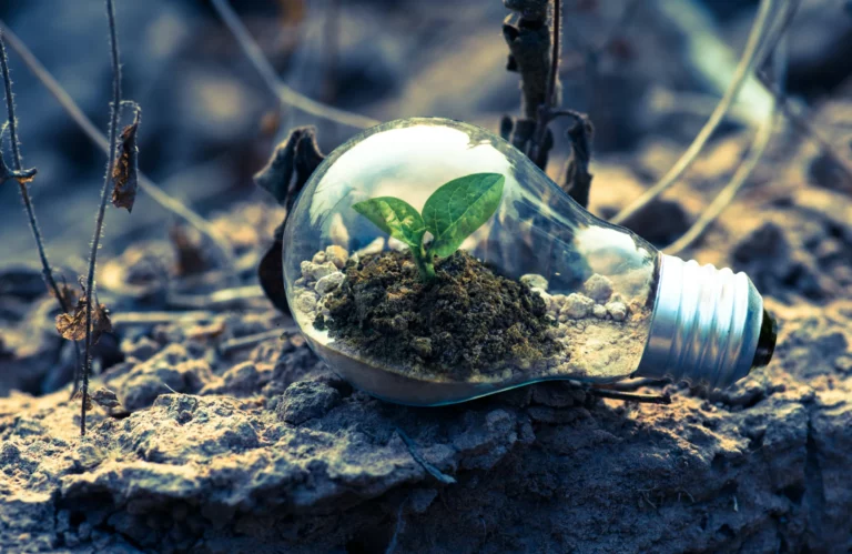 Comment réduire son empreinte carbone ?