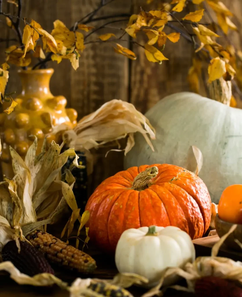 Composition naturelle d'Halloween faite de citrouilles, de branches et de feuilles
