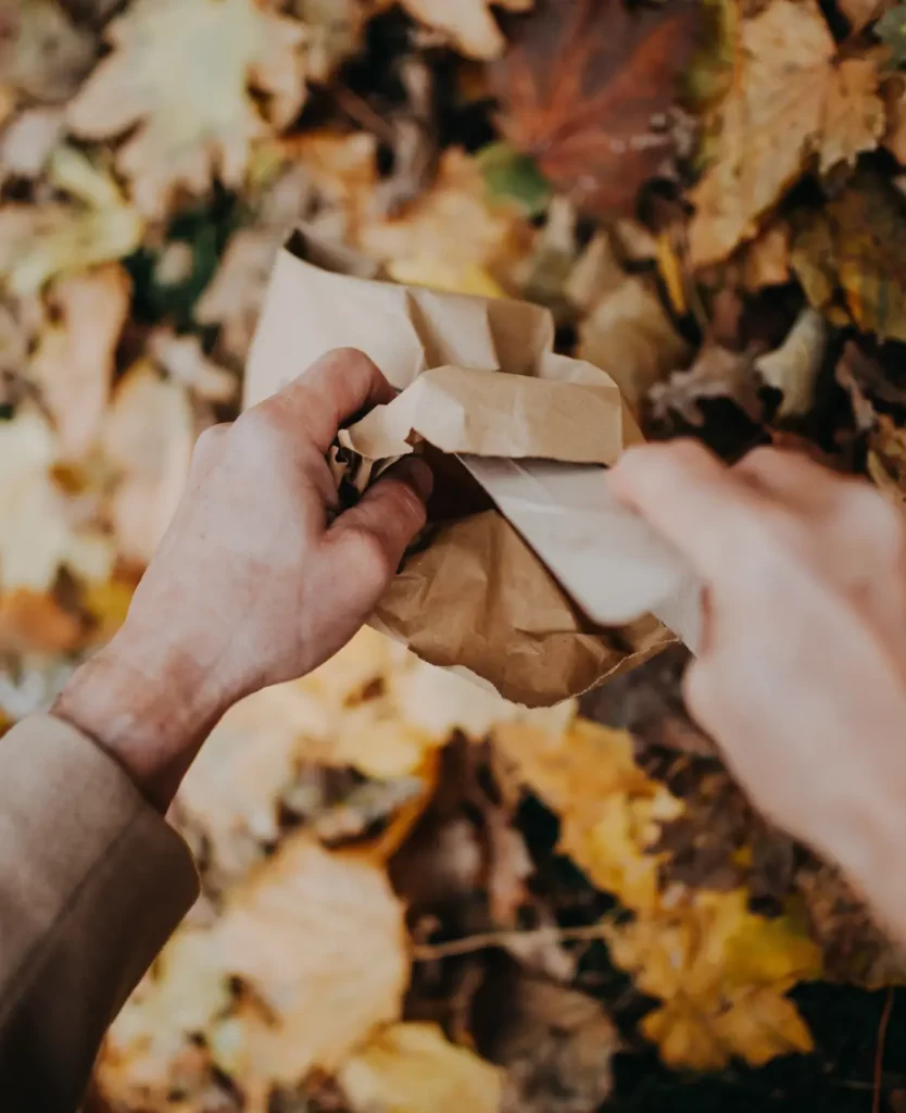 Personne ramassant des feuilles mortes pour sa déco d'Halloween