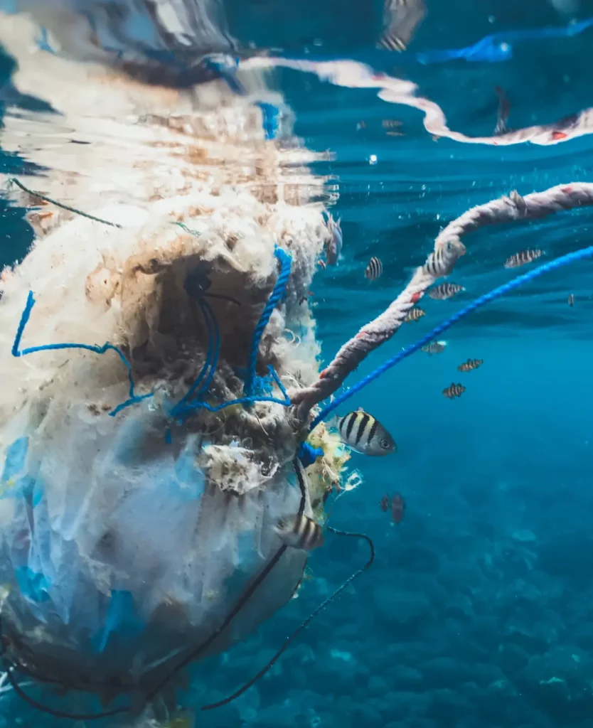 Déchets dans l'océan avec des poissons