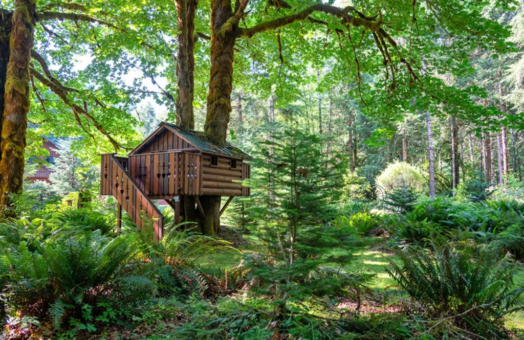 Logement éco-responsable au milieu de la forêt