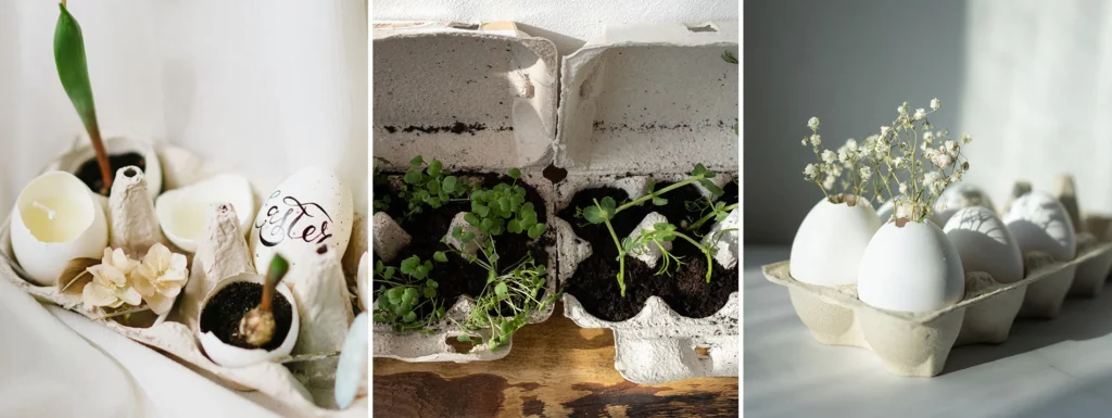 Décoration d'une boite à oeufs végétale pour Pâques