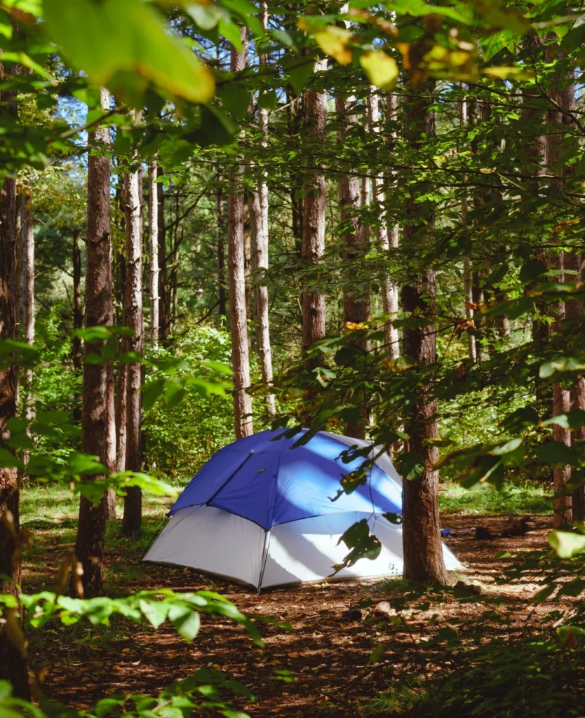 Bivouac responsable au milieu de la forêt