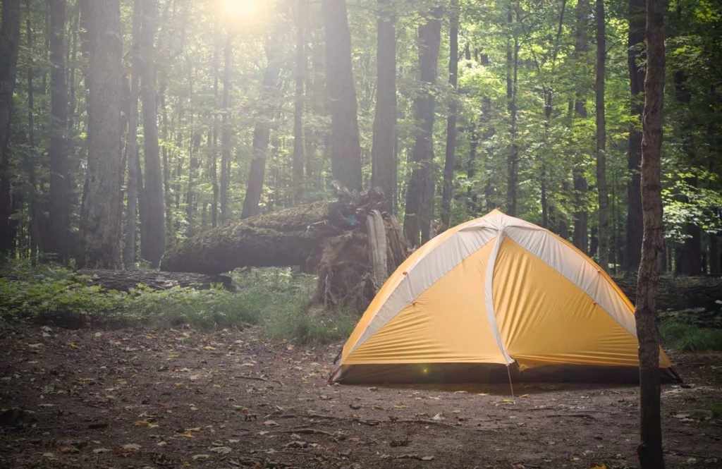 Bivouac responsable en tente au milieu de la nature